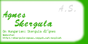 agnes skergula business card